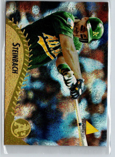 1995 Pinnacle #354 Terry Steinbach Museum Collection F15