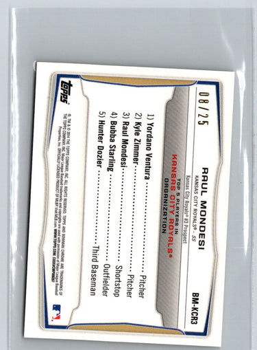 2014 Bowman #BM-KCR3 Raul Mondesi Chrome Mini Gold Refractors #/25 M29
