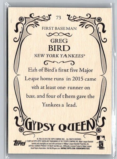 2016 Topps Gypsy Queen #73 Greg Bird Framed Blue N65